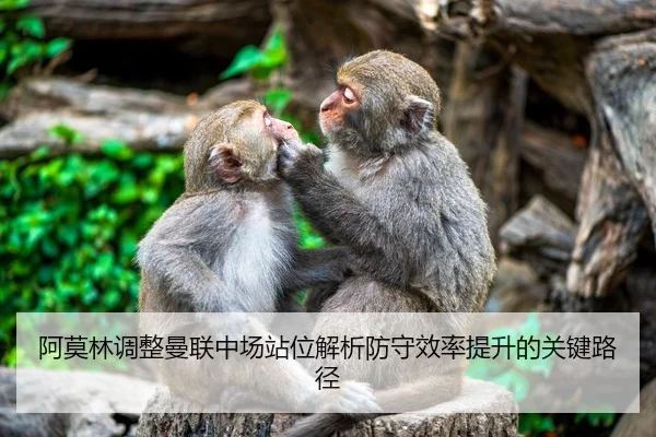 阿莫林调整曼联中场站位解析防守效率提升的关键路径